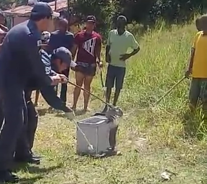 Vídeo: Jiboia é capturada pelo Corpo de Bombeiros no Santa Edwiges