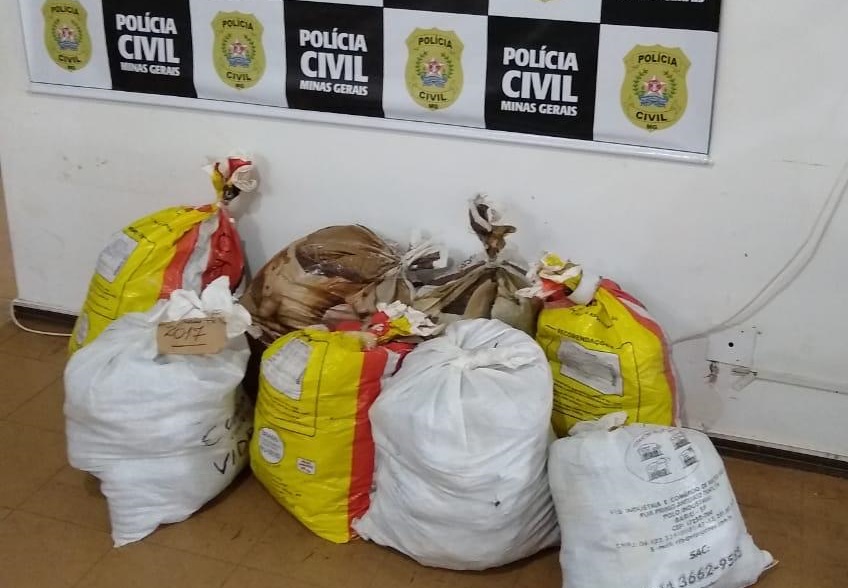 Polícia Civil incinera cerca de 150 quilos de drogas, como maconha e crack, em Itaúna; saiba mais!