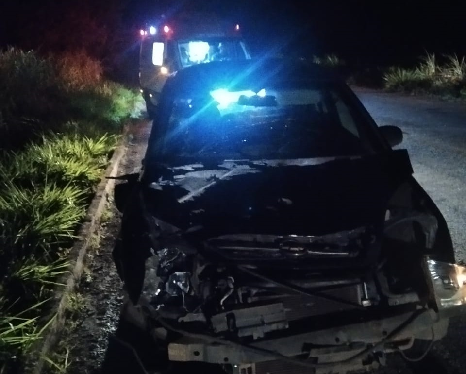 Dois socorridos pelo SAMU após carro colidir com animal na pista na MG-431 sentido Pará de Minas