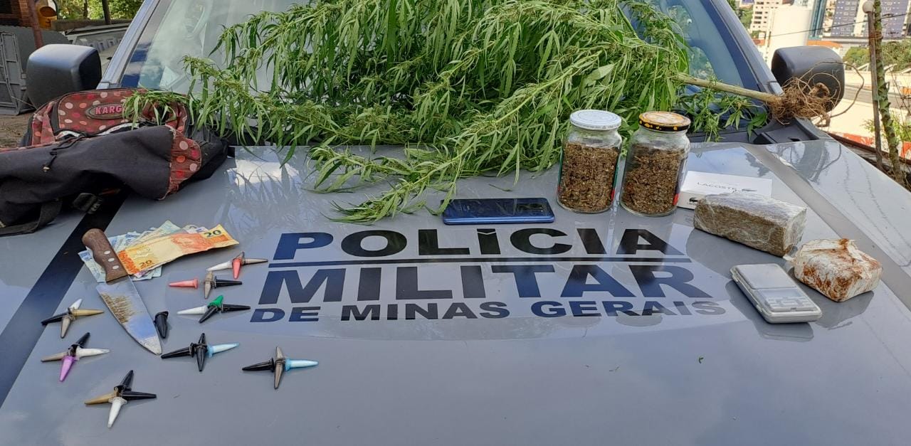 Pé de maconha, tabletes e 33 pinos de cocaína são apreendidos pela PM após denúncia no Morada Nova