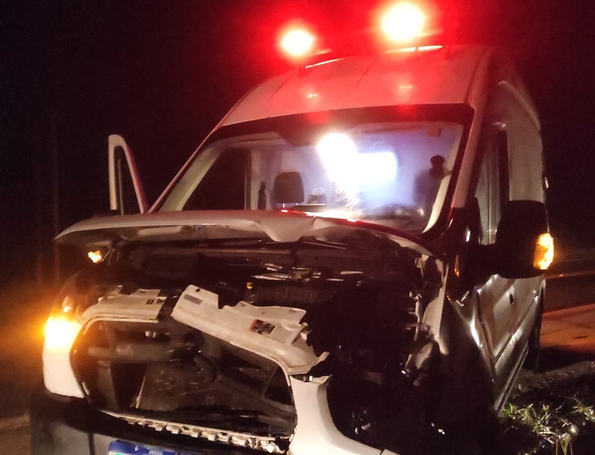 Animais na pista causam acidente com ambulância da Prefeitura de Formiga na MG-050