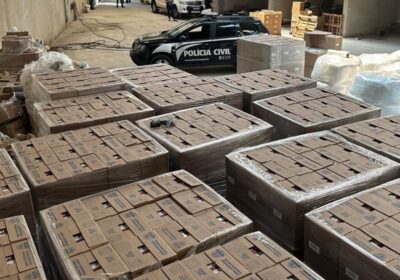 Ação conjunta apreende 50 toneladas de sabão em pó falsificado