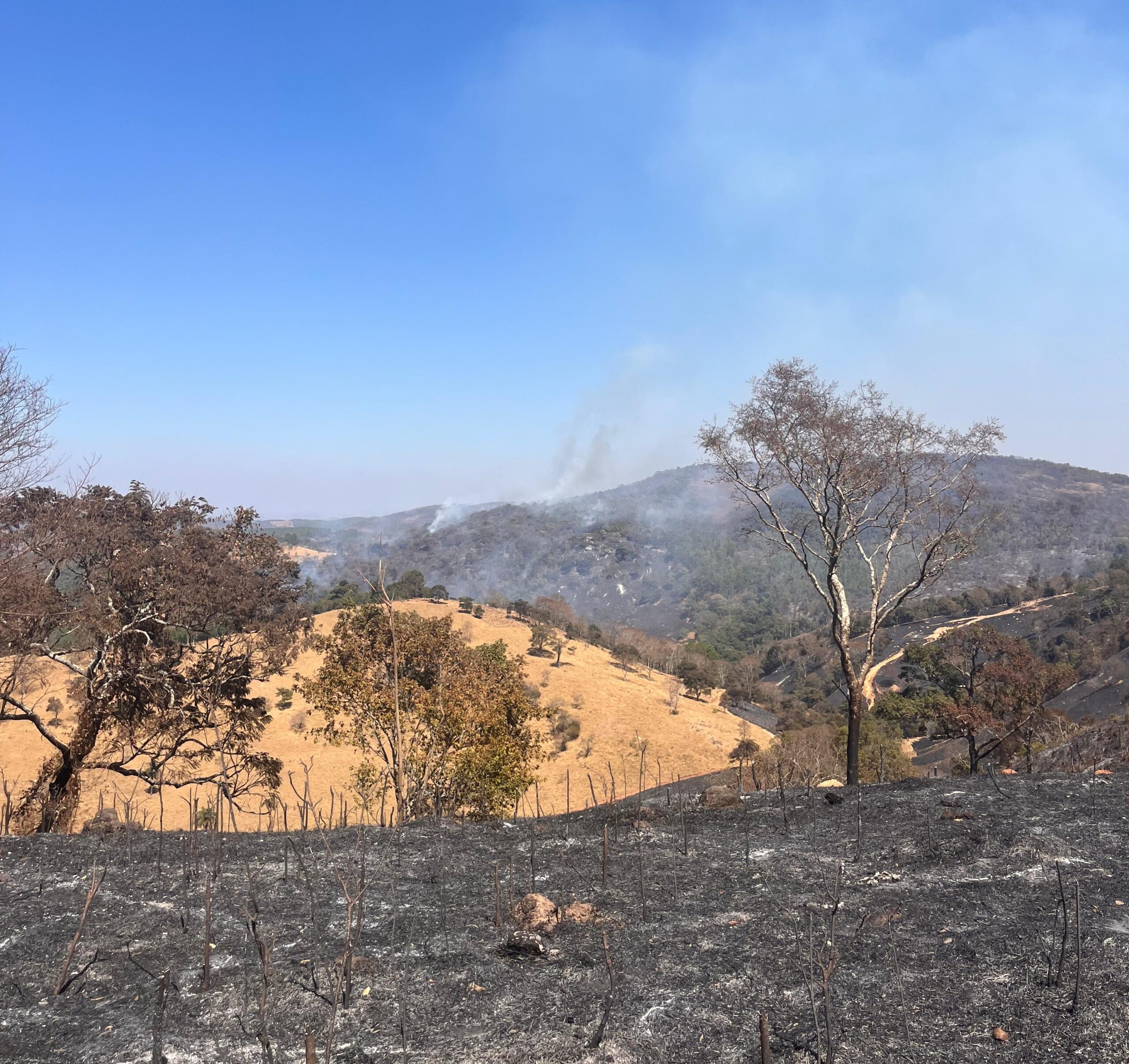 Bombeiros combatem incêndio na região de Jacuba há 4 dias