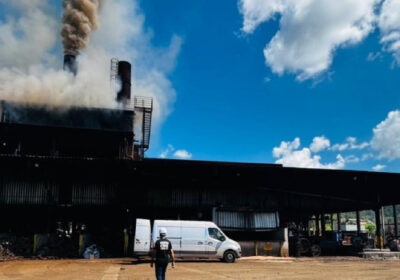 PCMG incinera, em Itaúna, 1,1 tonelada de drogas