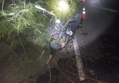 Galhos de árvore causam queda de motociclista na MG-431
