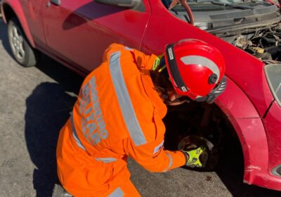 Gato é resgatado embaixo de motor de carro na Silva Jardim