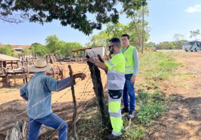 Guarda e contenção de animais na MG-050 é responsabilidade do dono, alerta Via Nascentes