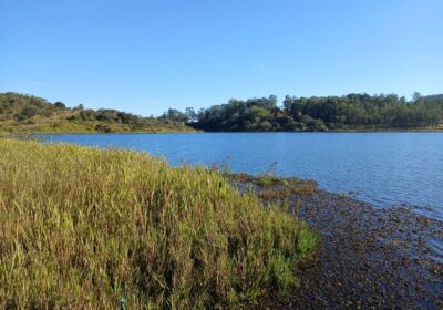 Água contaminada? Esgoto pode comprometer abastecimento na Barragem Velha