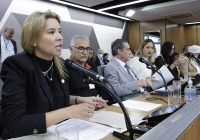 PL que restringe mineroduto é questionado em audiência na ALMG