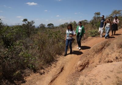 Omissão do poder público estimula degradação e ocupações na Serra do Elefante