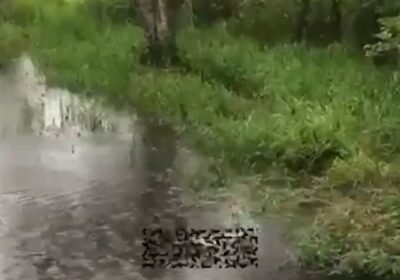 Suspeito é ouvido e liberado após mulher ser encontrada morta em ribeirão