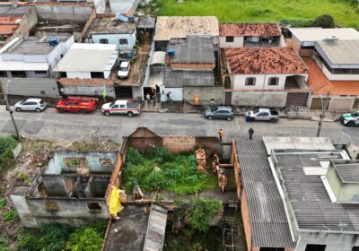 Após ataques, operação fiscaliza acondicionamento de abelhas em Itaúna