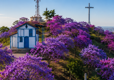 Cidade Jardim: arborização pode transformar paisagem e qualidade de vida em Itaúna