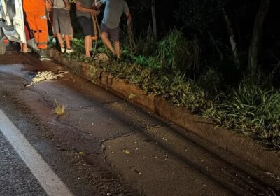 Veículo com mulher e duas crianças sai da pista na MG-050 próximo ao Modal