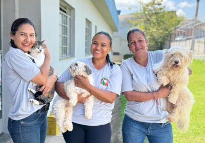 Campanha antirrábica vacina mais de 12 mil animais contra a raiva em Itaúna