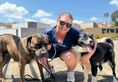 Campanha antirrábica vacina mais de 12 mil animais contra a raiva em Itaúna