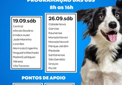 Itaúna inicia vacinação antirrábica de cães e gatos neste sábado (19)